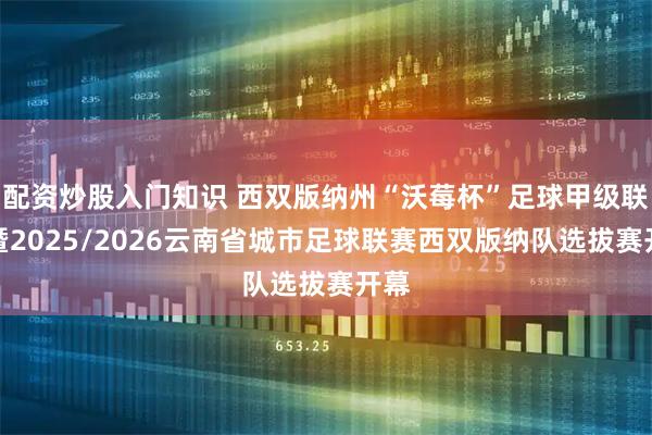 配资炒股入门知识 西双版纳州“沃莓杯”足球甲级联赛暨2025/2026云南省城市足球联赛西双版纳队选拔赛开幕
