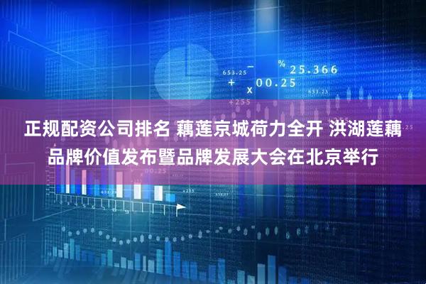 正规配资公司排名 藕莲京城荷力全开 洪湖莲藕品牌价值发布暨品牌发展大会在北京举行