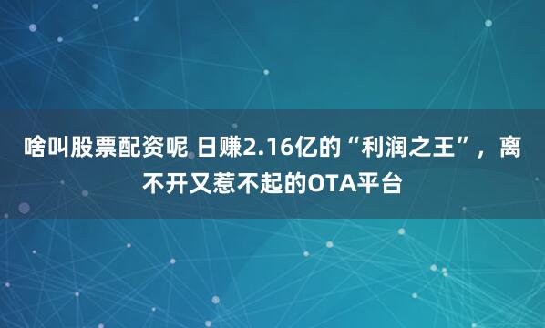 啥叫股票配资呢 日赚2.16亿的“利润之王”，离不开又惹不起的OTA平台