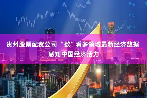 贵州股票配资公司 “数”看多领域最新经济数据 感知中国经济活力