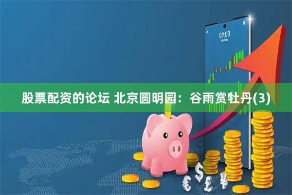 股票配资的论坛 北京圆明园：谷雨赏牡丹(3)