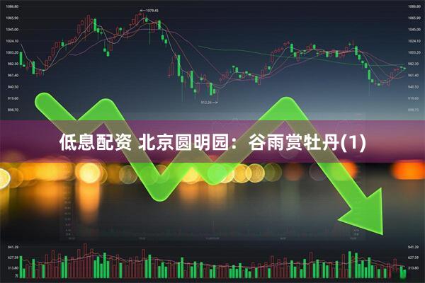 低息配资 北京圆明园：谷雨赏牡丹(1)
