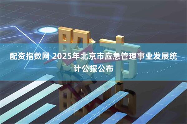 配资指数网 2025年北京市应急管理事业发展统计公报公布